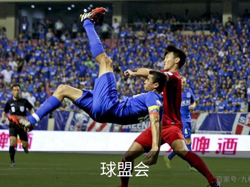 球盟会品牌故事